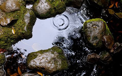 一水滴落在长满青苔的石子路上面自然风景素材设计