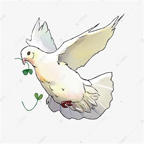 家禽鸽子手绘插画素材图片免费下载-千库网