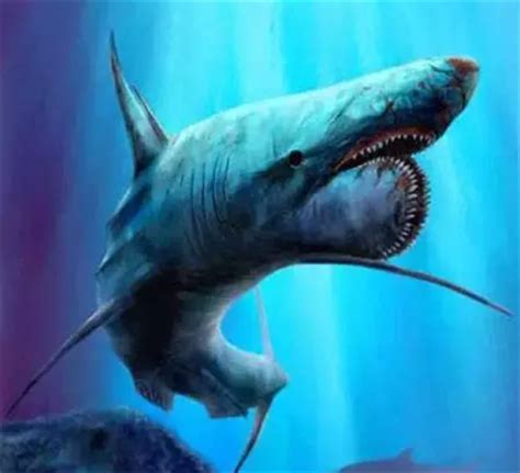 史前最凶猛的海洋生物巨齿鲨是怎么灭绝的 - 海洋财富网