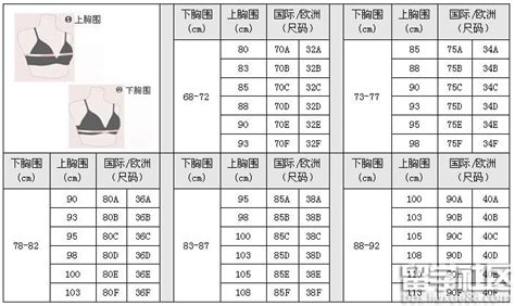 衣服尺码对照表免费下载-衣服尺码对照表Excel模板下载-华军软件园