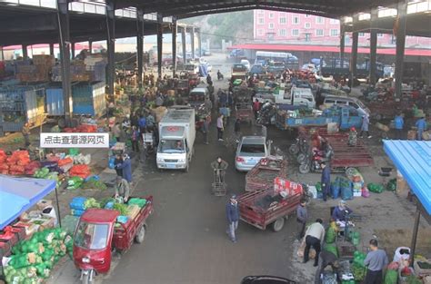 广西柳城：新春牛市交易忙_时图_图片频道_云南网
