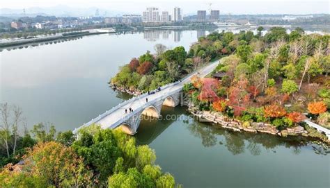 萍乡：湿地公园景美如画（图）凤凰网江西_凤凰网