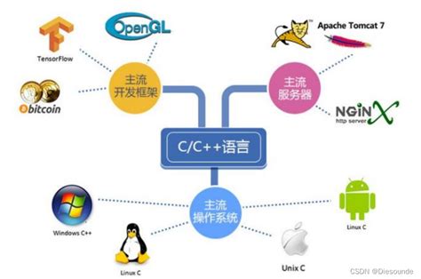 C语言基础 初识c语言_c语言系统-CSDN博客