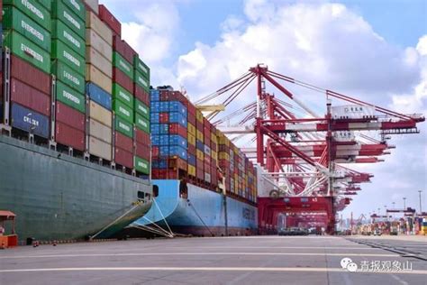 增长33.7％！前5个月青岛外贸进出口总值3156.4亿元