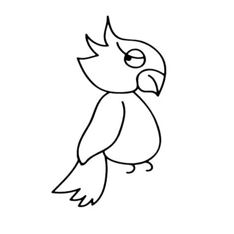 简笔画鹦鹉的简单画法 - 育才简笔画