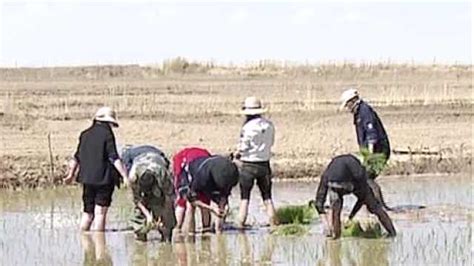 袁隆平：改造1亿亩盐碱地种水稻，每年能多养活8000多万人口