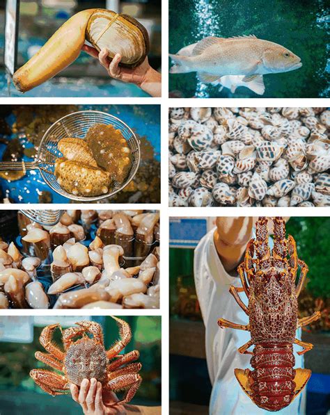 海鲜种类名称图片大全,海鲜品种大全及名字,常见海鲜认识图_大山谷图库