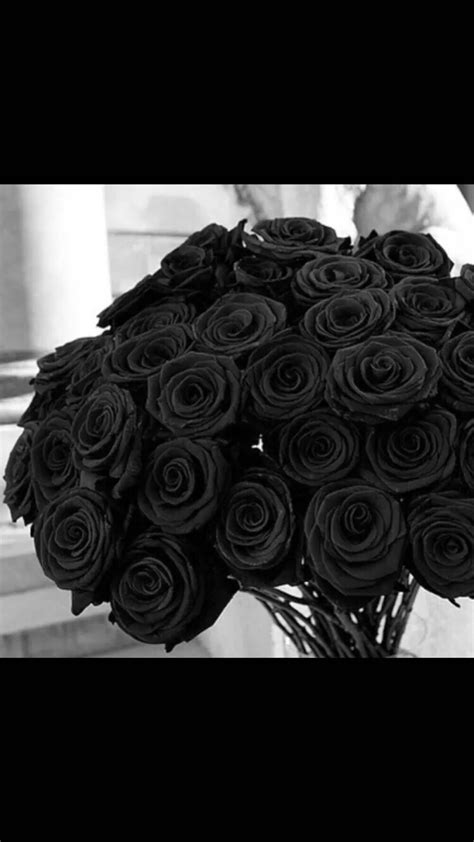 黑玫瑰 - 堆糖，美图壁纸兴趣社区