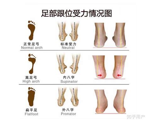 画师hongvanngh分享的人体足部绘制线稿合集_酷儒_参考_技巧