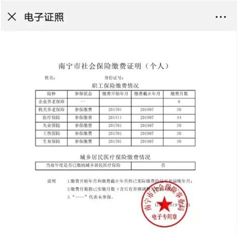 南宁推出社保参保缴费证明电子证照- 南宁本地宝