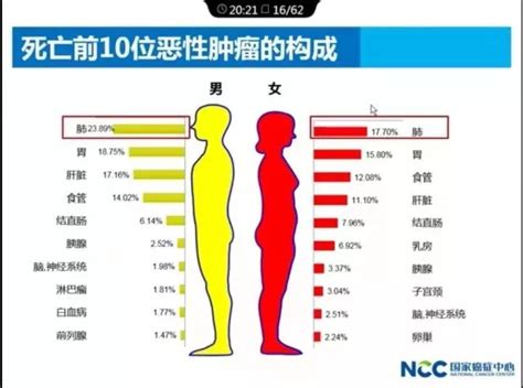 2020年中国癌症前十排名是怎样的？应对癌症，不同人群如何买保险？ - 奶爸保