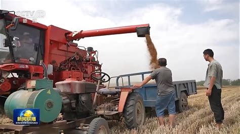 全国麦收进度达7.9% 各地全力做好抢收保障