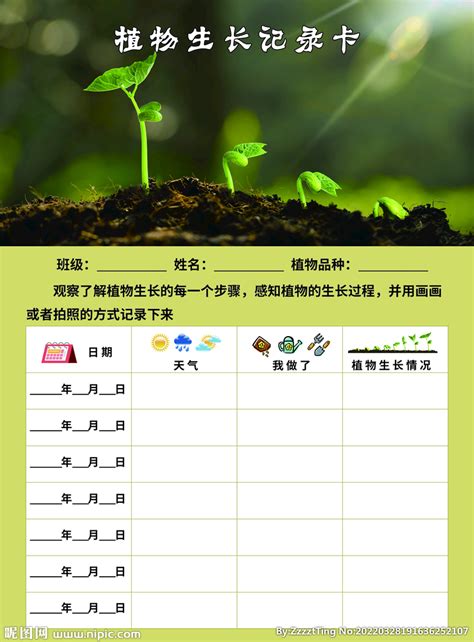 幼儿园植物观察记录表设计图__其他_广告设计_设计图库_昵图网nipic.com