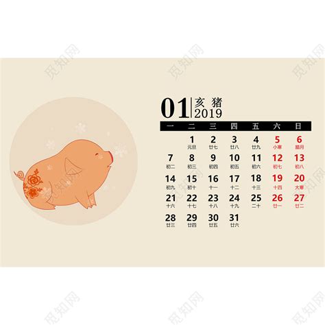 猪年台历卡通2019年猪年一月月历素材免费下载 - 觅知网