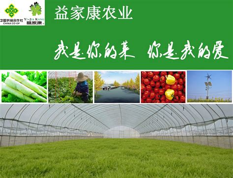 广西融水凯丰生态农业有限公司_农业