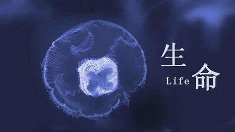 【生命诞生的起源】40亿年前地球上的第一个生命诞生了