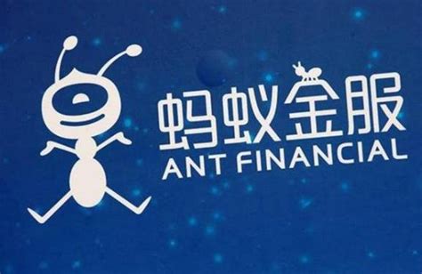 蚂蚁集团申购中签率公布时间 蚂蚁金服上市最新消息_第一金融网