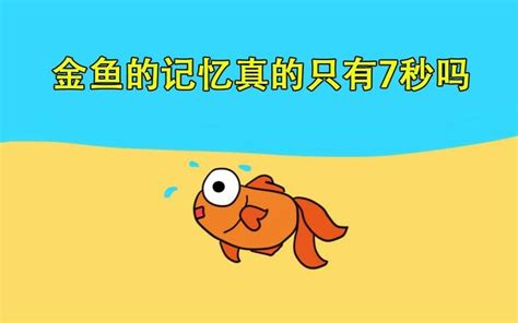 鱼的记忆只有7秒？金鱼能记住1年前吸管的颜色，网友：比我强！_腾讯视频