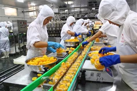 国内食品机械自动化程度大幅提高 - 行业新闻 - 信阳市长成自动化有限公司