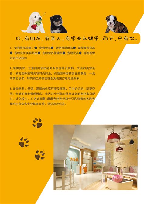 一站式服务打开宠物店经营新思路-中国国际宠物水族用品展CIPS