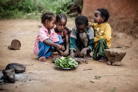 联合国最新预警：饥饿对多国稳定构成严重威胁，大范围粮食危机正在逼近 - 国际合作中心