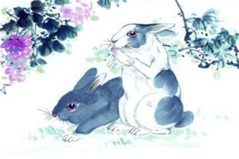 兔和龙夫妻能到老吗 两人在一起对谁不利-属相婚配-国学梦