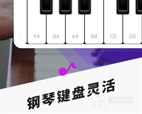 钢琴模拟器下载手机版2024最新免费安装