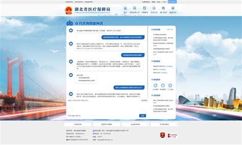 湖北省医疗保障局智能问答平台 - 应用案例