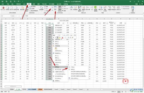 WPS Excel怎么把相同的内容排在一起-WPS表格中将相同的数据信息排列在一起的方法教程 - 极光下载站