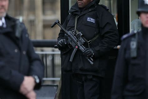 英国警方在议会大厦附近逮捕一名持刀男子(组图)-行业动态-资讯频道-特种装备网