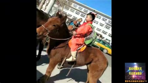 天啊，内蒙古高考真的要考骑马射箭吗？_1赛马网_第一赛马网