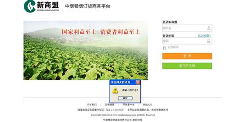 中国烟草金叶阳光SI系统设计