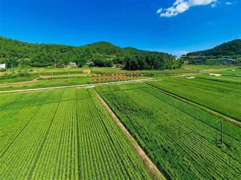 江西电视台《新闻频道》关注南昌县推进高标准农田建设 促进农业增产农民增收
