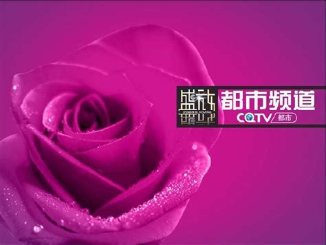 重庆电视台影视频道《小小渝记》之《了不起的你》重庆永川蓝橙队20221001_腾讯视频