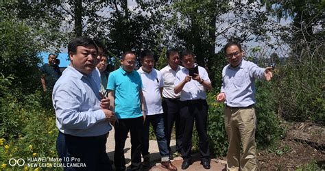 黑龙江省农业农村厅通告（2022第008号） - 热点聚焦 - 中国大豆产业协会