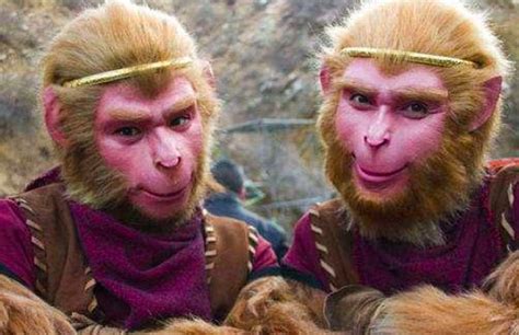 传说中的四大灵猴，孙悟空灵明石猴排行第二！居然有争议|猿猴|孙悟空|花果山_新浪新闻