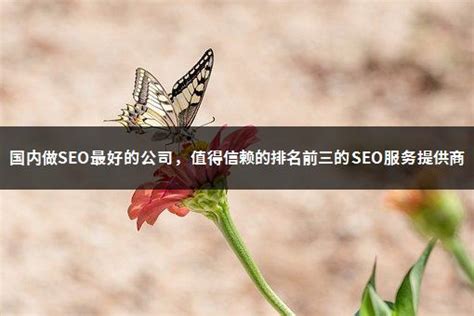 深圳SEO优化制作网站需要注意的流程-8848SEO