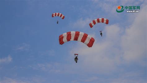 穿跳伞跳伞员 跳伞 军队 跳伞队 降落伞 跳跃 男子 天空图片免费下载 - 觅知网