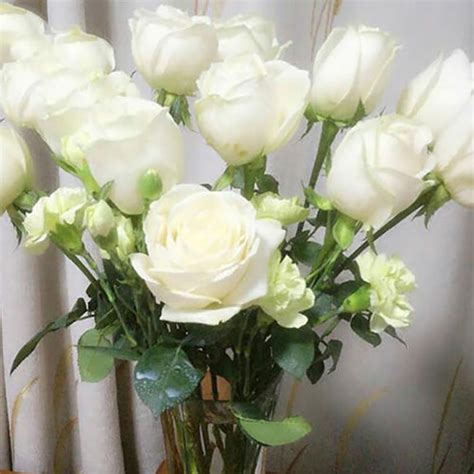 33朵白玫瑰的花语是什么?33朵白玫瑰的寓意和象征-花卉百科-中国花木网