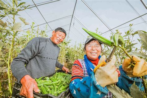 云南：贫困地区中低产田地改造取得明显成效——人民政协网