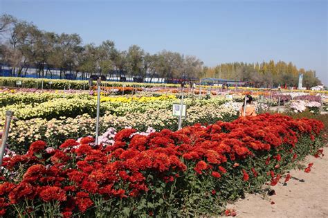 新疆昌吉农业博览园发展建设规划 - 经典案例 - 农伞网