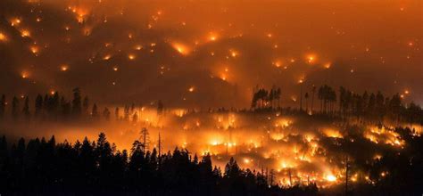 美国加州大火再敲警钟：森林火灾处置不当可能会变国家灾难-国际环保在线