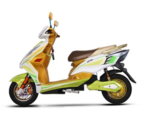 LJ1000DT-2D 绿驹牌纯电动前鼓式后鼓式电动两轮摩托车价格|配件|参数|图片-王力汽车网