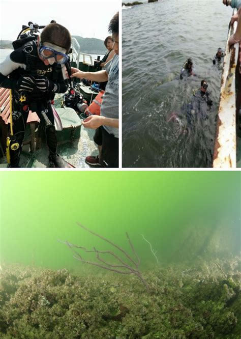 一种人工鱼礁现场勘测设备及勘测方法与流程