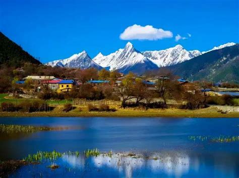 西藏林芝：巴卡村产业遍地开花 - 波密县 - 老家网