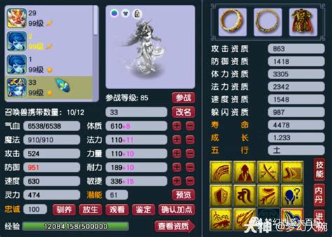 梦幻西游：平民打造69虎贲大唐，玩一个虎贲大唐还是很不错的 - 奇点