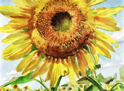 Sunflowers | 向日葵-世界名画欣赏