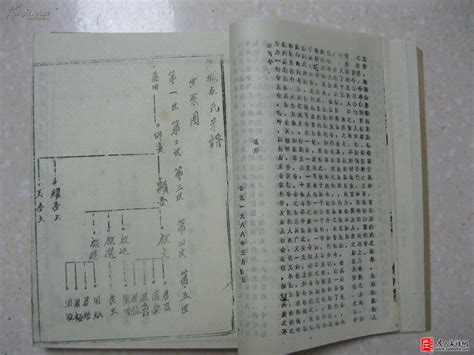 中国风宗氏族谱书模板下载-金印客模板库