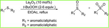 Solved OH VO(acac)2, t-BuOOH C9H19 2,6-lutidine | Chegg.com