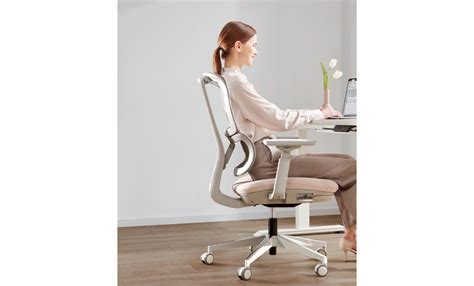 哈途办公椅-人体工学椅-电脑椅-圣奥办公家具官网